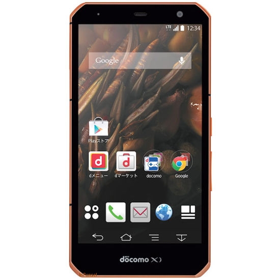 Fujitsu Arrows NX F-02G