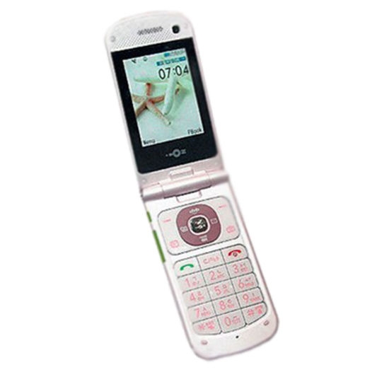 LG GD310