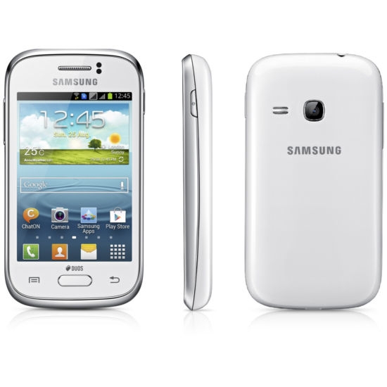 Samsung Galaxy Young S6310