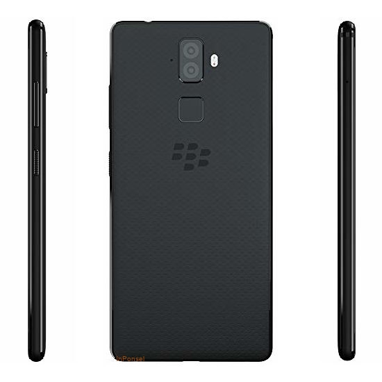BlackBerry Evolve