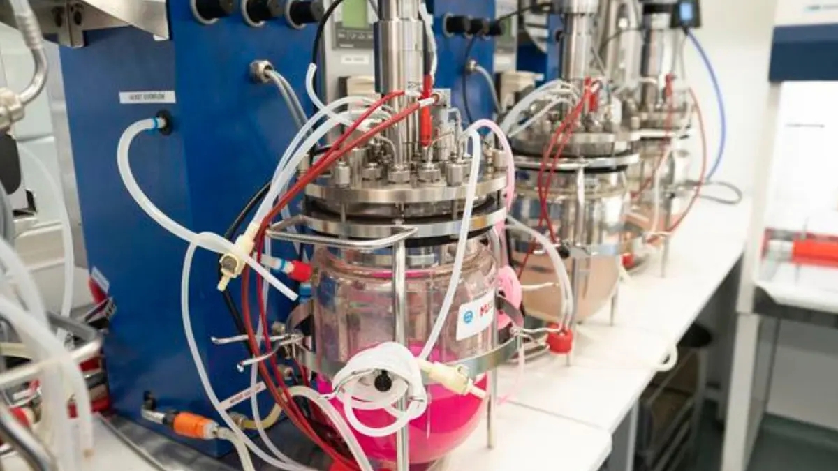 Ilmuwan Australia Ciptakan Plastik Ramah Lingkungan dari Mikroba Lokal