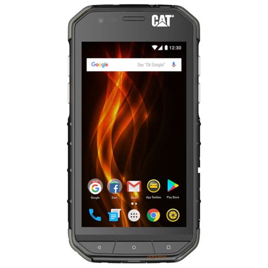 Cat S31