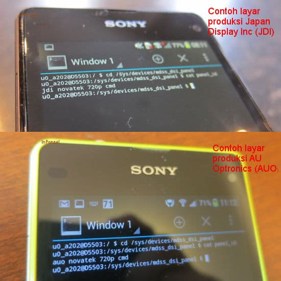 Sony Xperia Z1 Compact