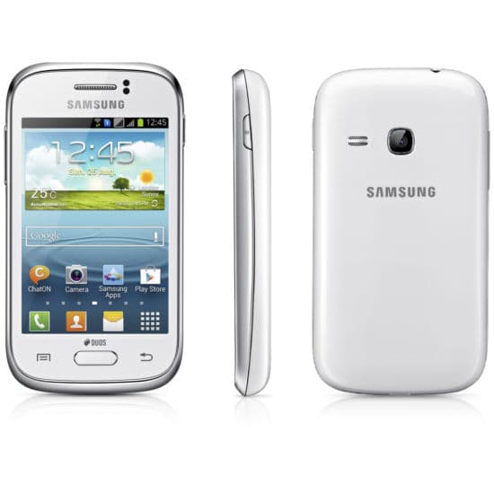 Samsung Galaxy Young S6310