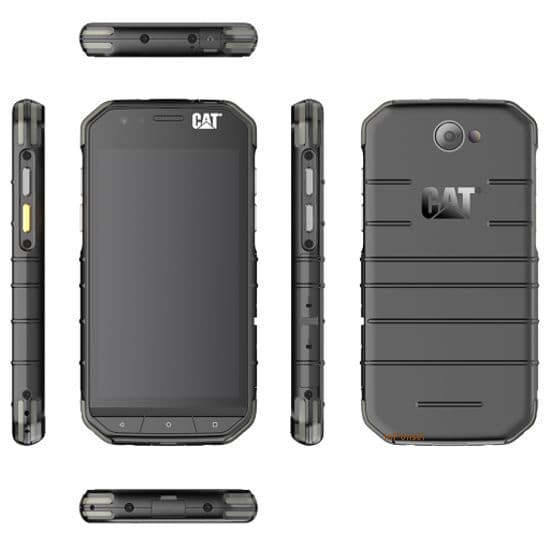 Cat S31